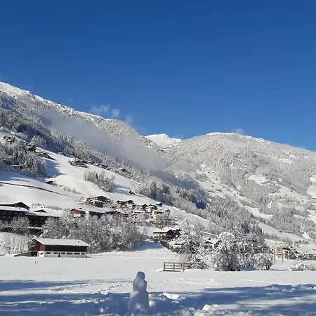 Noal مايرهوفن